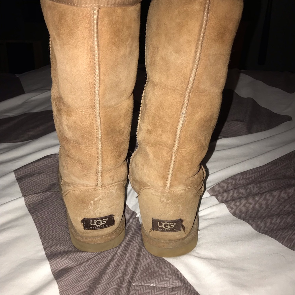 Uggs - Tall Chestnut